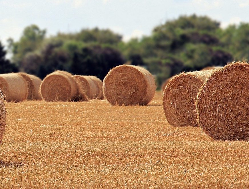 Tarifermäßigung für Einkünfte aus Land- und Forstwirtschaft